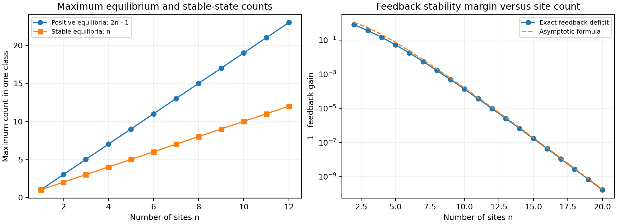 Equilibrium capacity is 2n minus 1 and stable-equilibrium capacity is n, while the limiting construction's positive feedback deficit shrinks with site count.